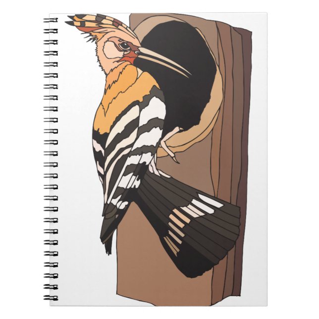 Caderno Espiral pica-pau (Frente)