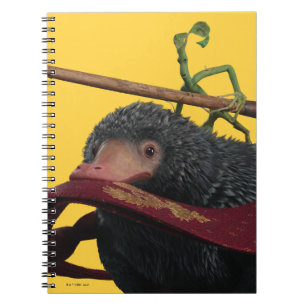 Caderno Espiral Pickett e Ursinho com Wand e Tie