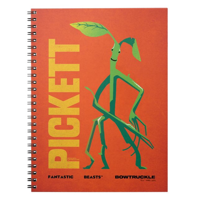 Caderno Espiral Pickett Vintage Graphic (Frente)