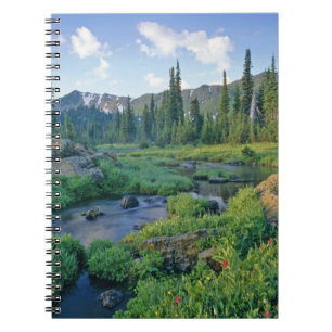 Caderno Espiral Picnic Creek na Jewel Basin de Swan
