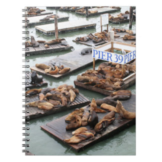 Caderno Espiral Pier 39 Leões do Mar em São Francisco