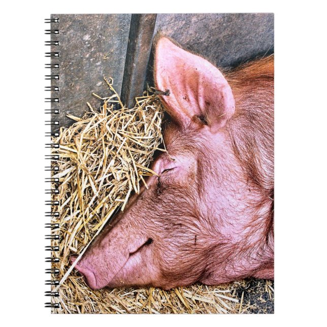 CADERNO ESPIRAL PIG CUTO (Frente)