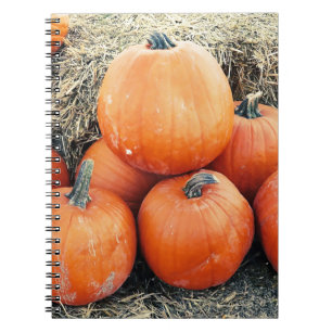 Caderno Espiral Pilha de Abóbora Vintage