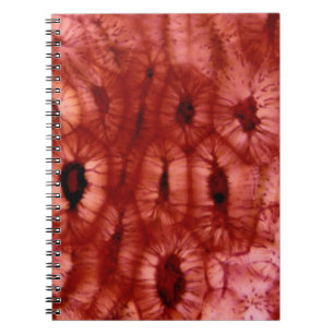 Caderno Espiral Pilhas de Sclerenchyma de um poço da cereja