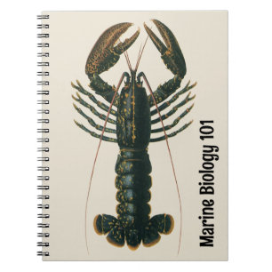 Caderno Espiral Pinças de Lagosta Vida Marinha Vintage Oceano Crus