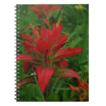 pincel de tinta indiano