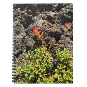 Caderno Espiral Pincel Indiano