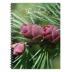 Caderno Espiral Pine Miniatura Bebê Cones Natureza