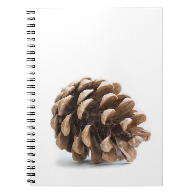 Caderno Espiral pinecona do solteiro (Frente)
