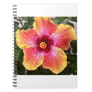 Caderno Espiral Pingos de chuva em hibiscus