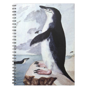 Caderno Espiral Pinguim-de-barbicha, Aves Antigas da Antártida