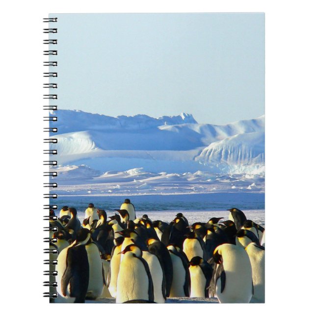 Caderno Espiral Pinguim espiral notebook (Frente)