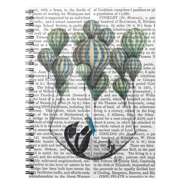 Caderno Espiral Pinguim no balão de Hammock (Frente)