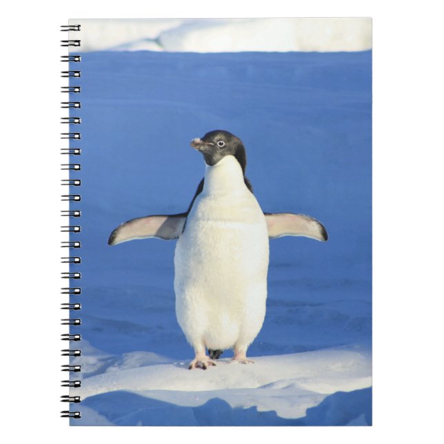 Caderno Espiral Pinguim no notebook da neve (Frente)