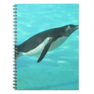 Caderno Espiral Pinguim que nada debaixo d'água