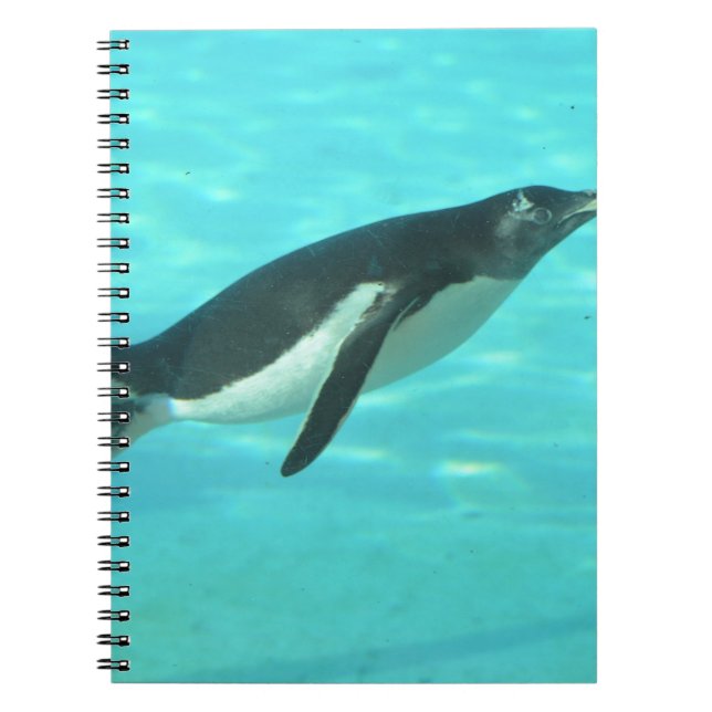 Caderno Espiral Pinguim que nada debaixo d'água (Frente)