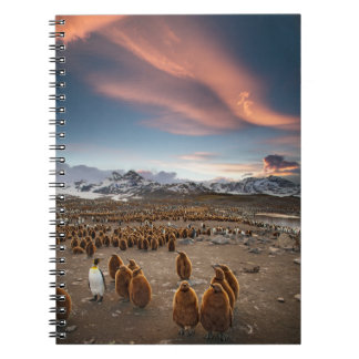 Caderno Espiral Pinguins ao Pôr do Sol