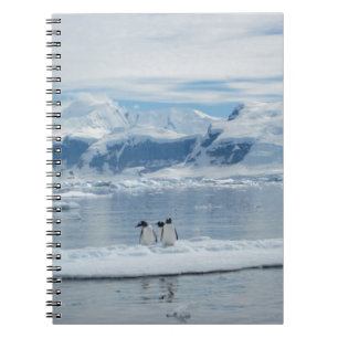 Caderno Espiral Pinguins em um iceberg