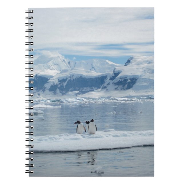 Caderno Espiral Pinguins em um iceberg (Frente)