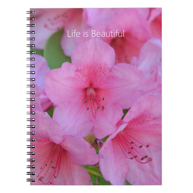 Caderno Espiral Pink Azalea Flowers (my photography) (Frente)