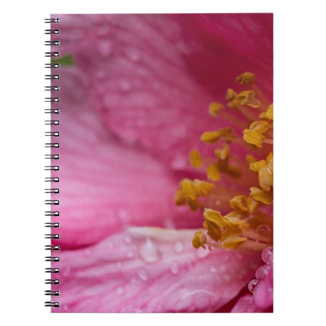 Caderno Espiral Pink Camellia Flower Stamens (Frente)