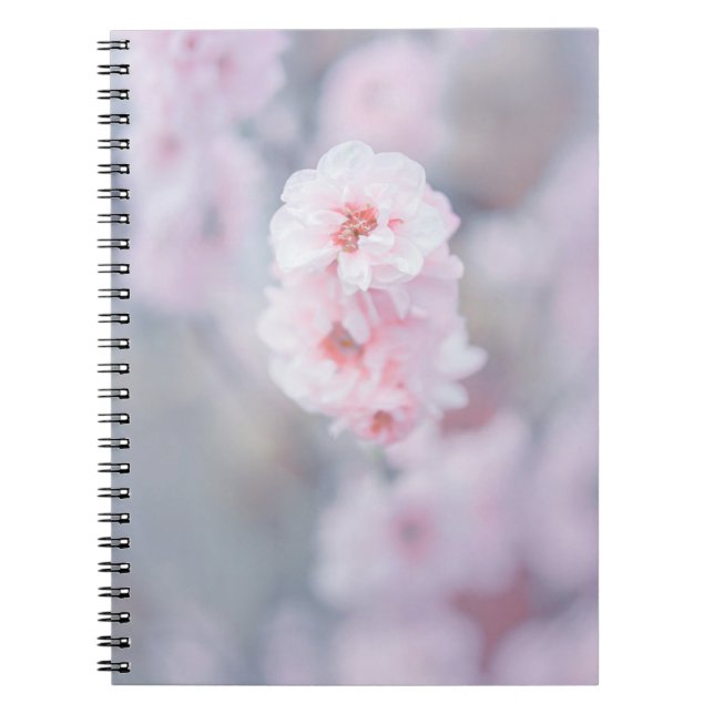 CADERNO ESPIRAL PINK CHERRY BLOSSOM EM FECHAR FOTOGRAFIA (Frente)