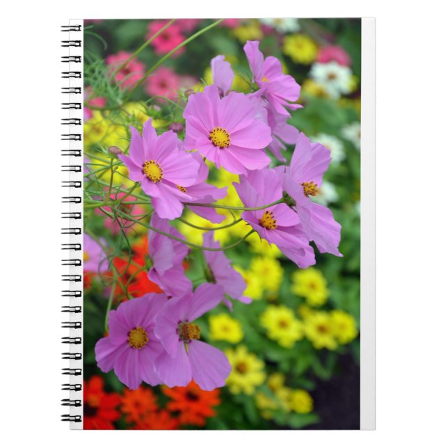 Caderno Espiral Pink cosmos Flor impressão (Frente)