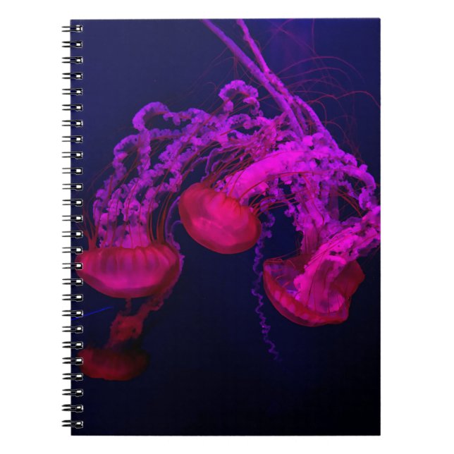 CADERNO ESPIRAL PINK JELLY FISH SOB O MAR (Frente)