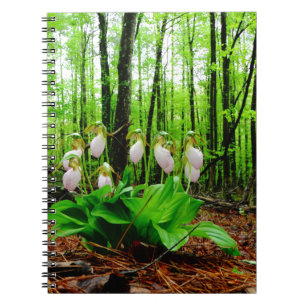 Caderno Espiral Pink Lady Slipper wild Orchid