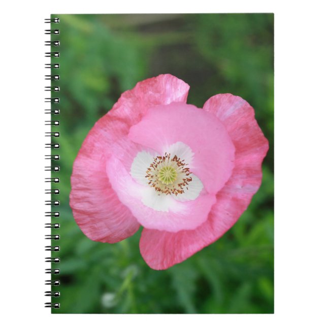 Caderno Espiral Pink Poppy (Frente)