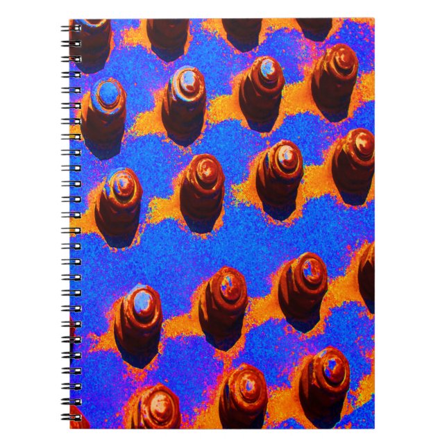 Caderno Espiral Pinos antigos (Frente)