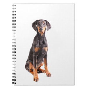 Caderno Espiral pinscher beautyful do doberman