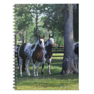 Caderno Espiral Pinte cavalos nas árvores