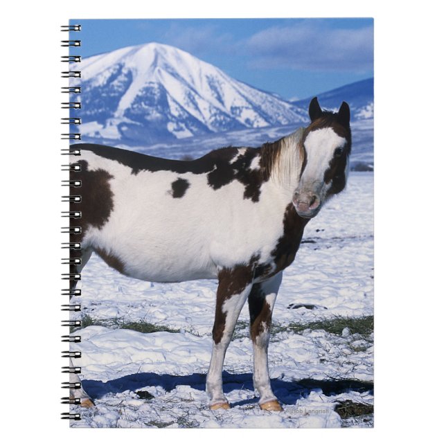 Caderno Espiral Pinte o cavalo que está na neve (Frente)