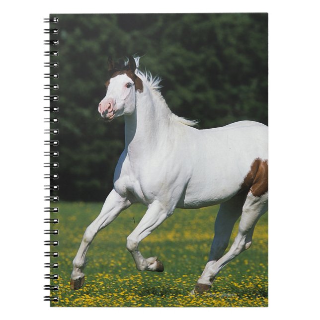 Caderno Espiral Pinte o cavalo que funciona no campo gramíneo (Frente)