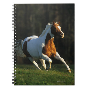 Caderno Espiral Pinte o cavalo que funciona rapidamente