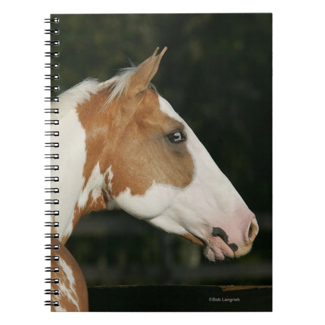 Caderno Espiral Pinte o Headshot 2 do cavalo (Frente)
