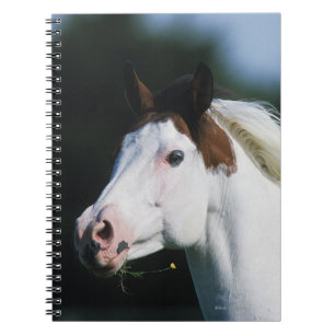 Caderno Espiral Pinte o Headshot 3 do cavalo