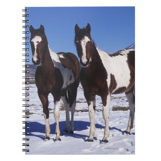 Caderno Espiral Pinte os cavalos que estão na neve (Frente)