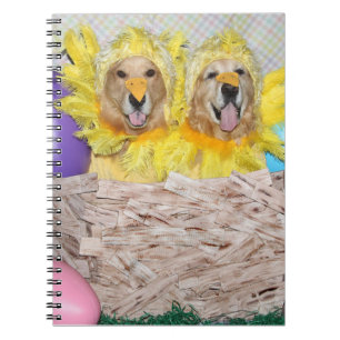 Caderno Espiral Pintinhos do golden retriever em um ninho