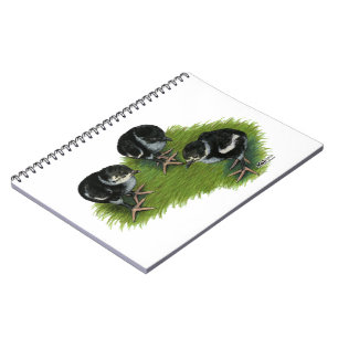 Caderno Espiral Pintinhos Pretos