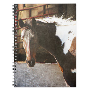 Caderno Espiral Pinto Cavalo