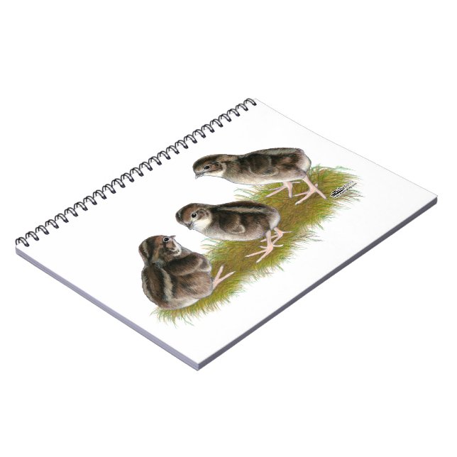 Caderno Espiral Pintos de Codorniz Coturnix (Left Side)