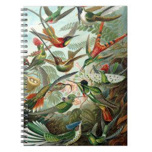 Caderno Espiral pintura clássica da fauna selvagem de beija-flor