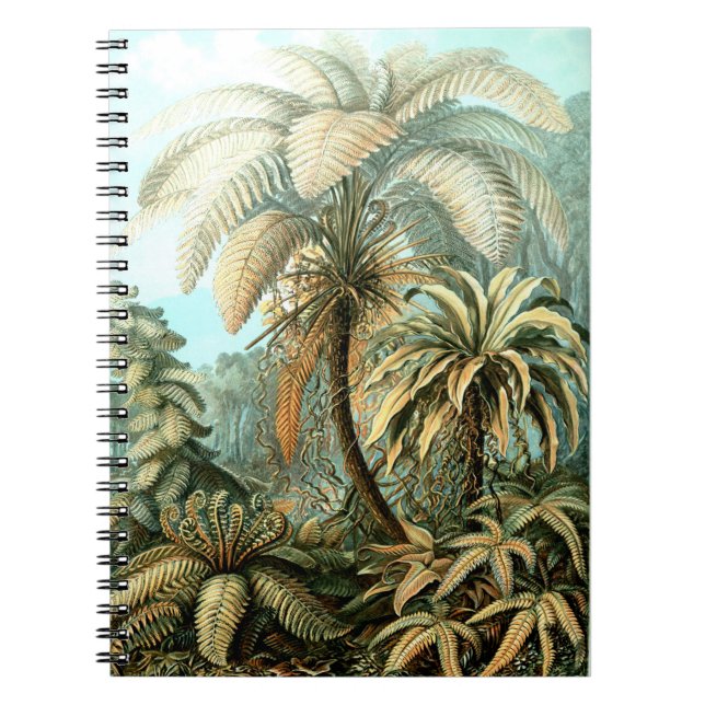 Caderno Espiral Pintura clássica da selva (Frente)