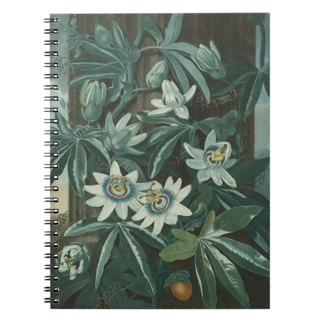 Caderno Espiral Pintura de Flor Moderna (Frente)