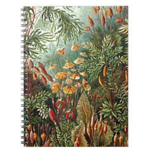 Caderno Espiral Pintura de Haeckel Moss, Grass e Fungus Mushroom