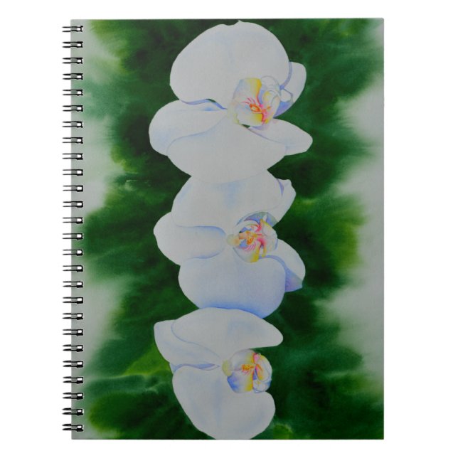 Caderno Espiral Pintura de orquídea branca Elegante tropical (Frente)