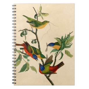 Caderno Espiral Pintura de pássaros com pintura de pintura em Audu