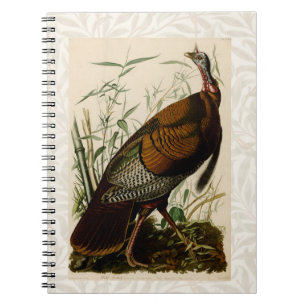 Caderno Espiral Pintura de pássaros Selvagens de Audubon na Turqui